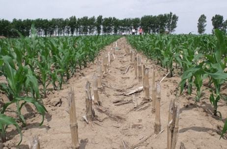 完善政策保障優化投資環境