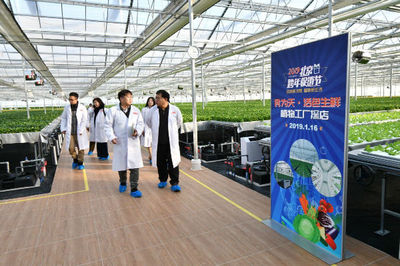 2019北京跨年促銷節(jié)品質(zhì)升級 水培蔬菜點(diǎn)綴綠色生活