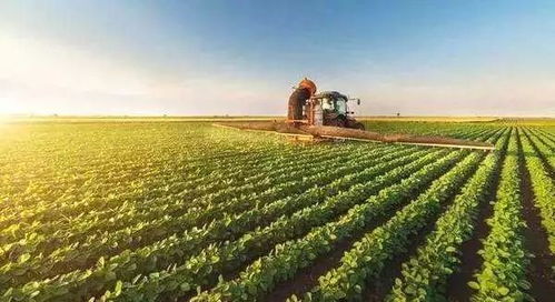 關(guān)于開展土地經(jīng)營權(quán)入股發(fā)展農(nóng)業(yè)產(chǎn)業(yè)化經(jīng)營試點(diǎn)的指導(dǎo)意見