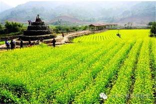 看英國鄉(xiāng)村旅游,讓農(nóng)業(yè)休閑更有范兒 旅游規(guī)劃設(shè)計 旅游策劃 鄉(xiāng)村旅游規(guī)劃 休閑農(nóng)業(yè)規(guī)劃