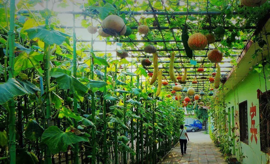 田園綜合體丨休閑農(nóng)業(yè)的7大模式30種類(lèi)型