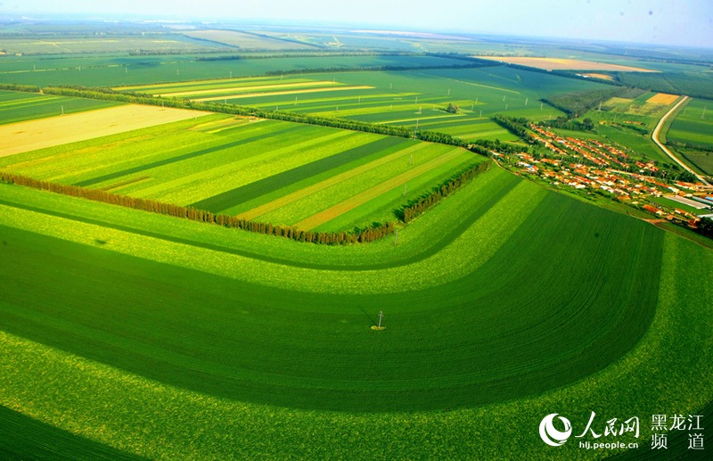 &ldquo;北大荒現(xiàn)代化大農(nóng)業(yè)主題攝影作品展&rdquo;在北京國(guó)際攝影周展出