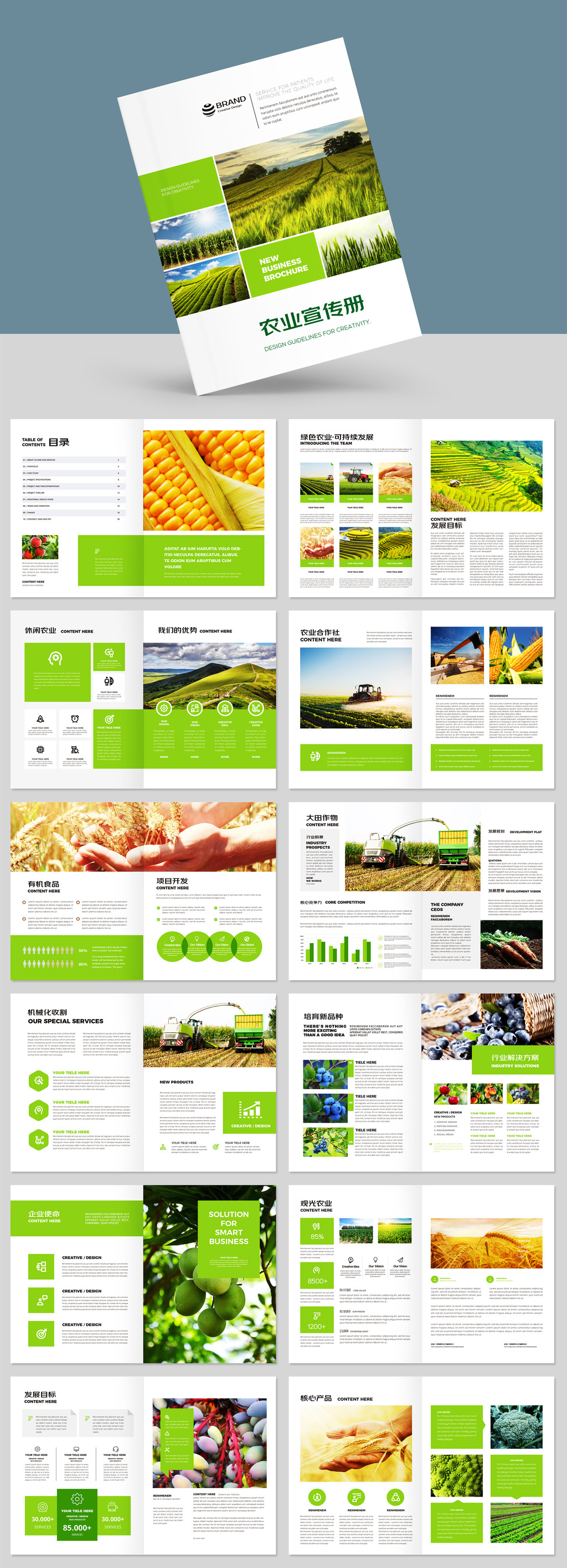 原創(chuàng)綠色農(nóng)業(yè)農(nóng)產(chǎn)品招商合作社畫(huà)冊(cè)宣傳冊(cè)AI模板-版權(quán)可商用