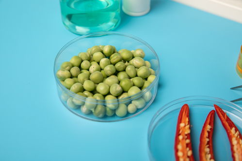 辣椒豌豆食品安全農(nóng)業(yè)科技食品培育攝影圖 插畫(huà) 下載至來(lái)源處