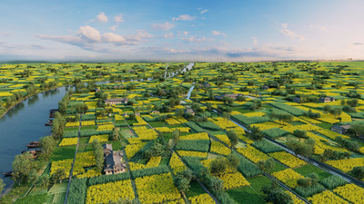 鳥(niǎo)瞰平原農(nóng)田,現(xiàn)代田園,農(nóng)田鳥(niǎo)瞰,油菜花田,生態(tài)農(nóng)村,生態(tài)田園,生態(tài)農(nóng)業(yè)鳥(niǎo)瞰田野,河流,田野,漁船,