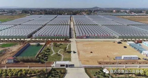 臨沂市食品協(xié)會組織會員單位 赴山東沃華智慧農(nóng)業(yè)科技園考察
