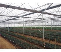【山東大棚溫室(園藝用具)產(chǎn)品庫(kù)】_價(jià)格/圖片/廠家 - 園藝用具產(chǎn)品庫(kù) - 貿(mào)易中心網(wǎng)手機(jī)版