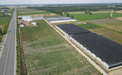 江漢明珠 多福多寶 走進(jìn)湖北特色美食鄉(xiāng)鎮(zhèn)--天門多寶