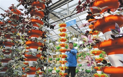 農(nóng)業(yè)夢(mèng)工廠種養(yǎng)更環(huán)保