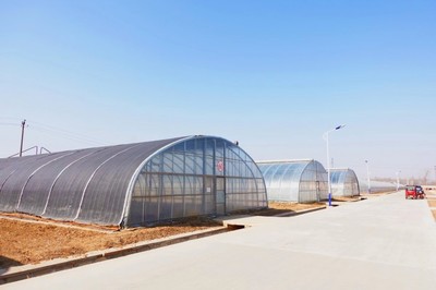 物美植物工廠(chǎng)首次公布數(shù)字化未來(lái)農(nóng)業(yè)或成發(fā)展趨勢(shì)