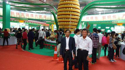 【批發(fā)蜜柚天然果園培植品質(zhì)保障 批發(fā)售賣(mài)13459609788】?jī)r(jià)格_廠(chǎng)家_圖片 -