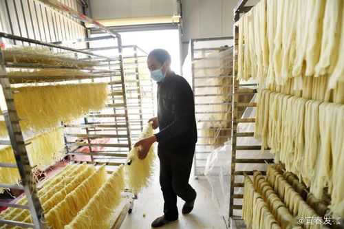 奉新洪興米粉 農業(yè)與文化融合的品牌傳奇